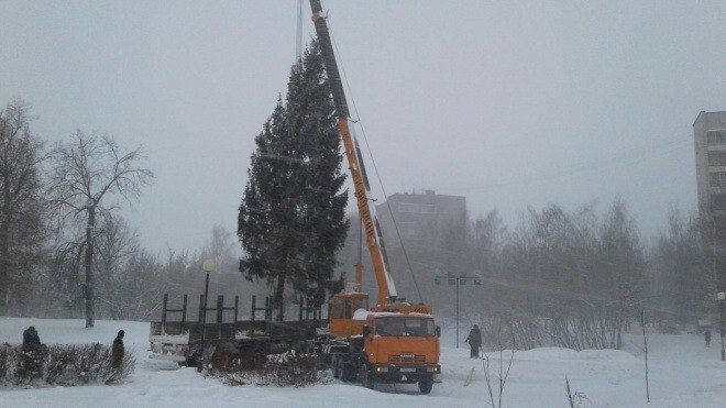 Где в Костроме установят новогодние елки?