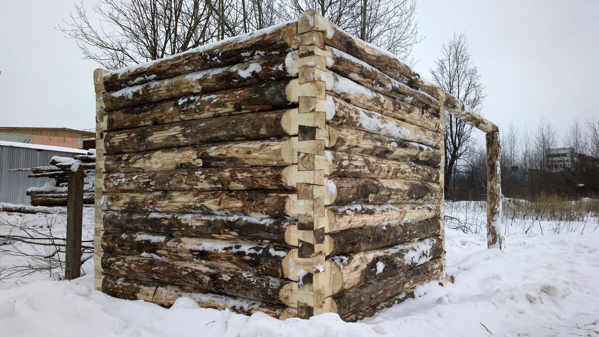 Можно ли строить дом из осины