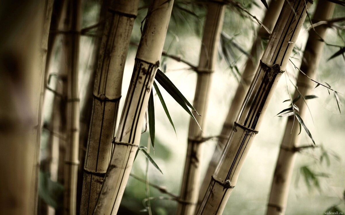 Бамбуковые пледы: советы по выбору