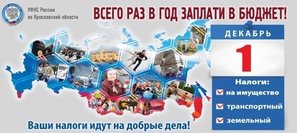 1 декабря срок уплаты имущественных налогов