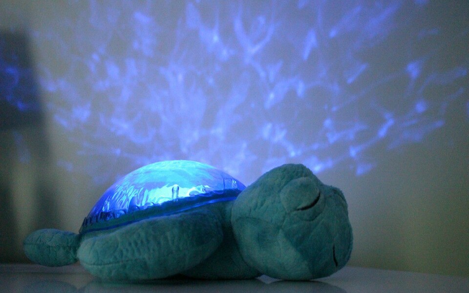 Cloud B Tranquil Turtle