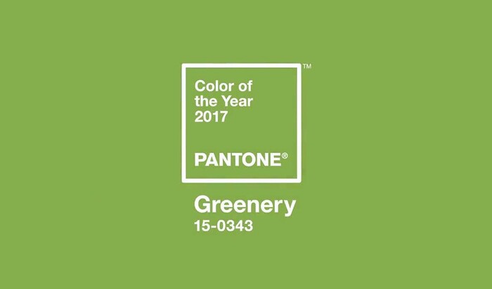 Зелень в следующем году — Greenery объявлен цветом 2017 года по Pantone