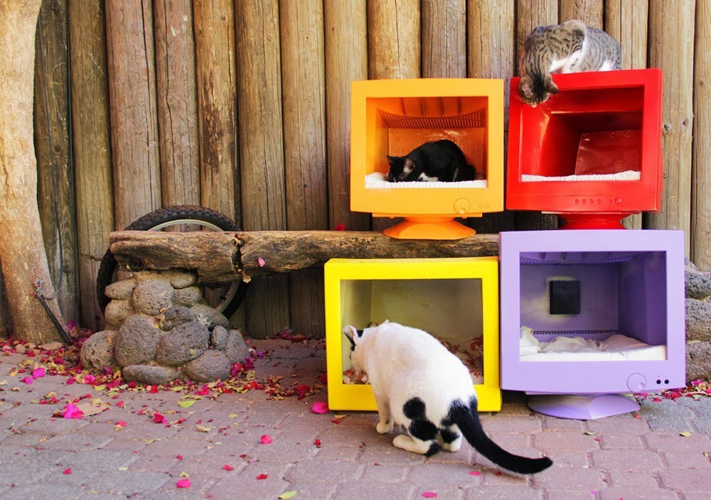 Cats house. Домик для кошки из телевизора. Домик для кошки из старого монитора. Кошачий домик из монитора. Домик для кошки из монитора.