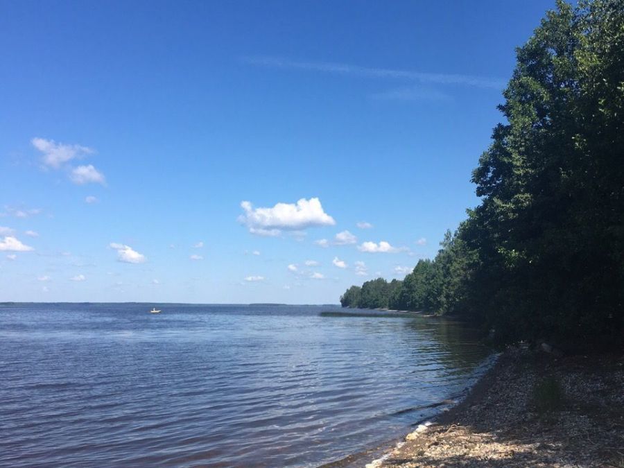 Костромское водохранилище фото