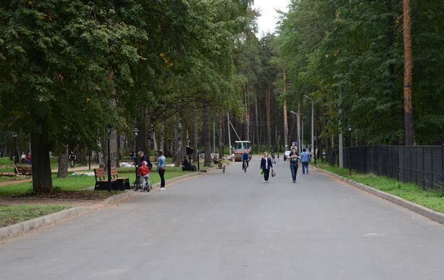 5 октября будет ограничен въезд транспорта в парк «Берендеевка»