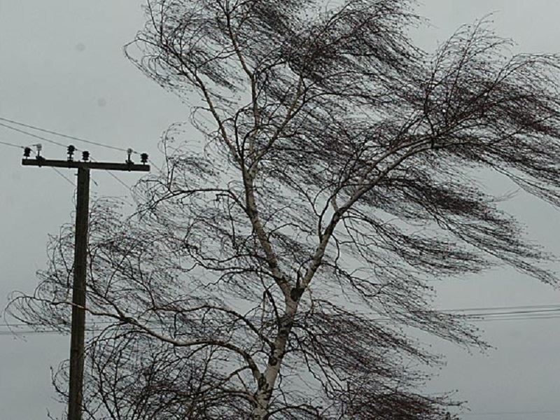 В Костроме и по области прогнозируется усиление ветра порывами до 17 метров в секунду