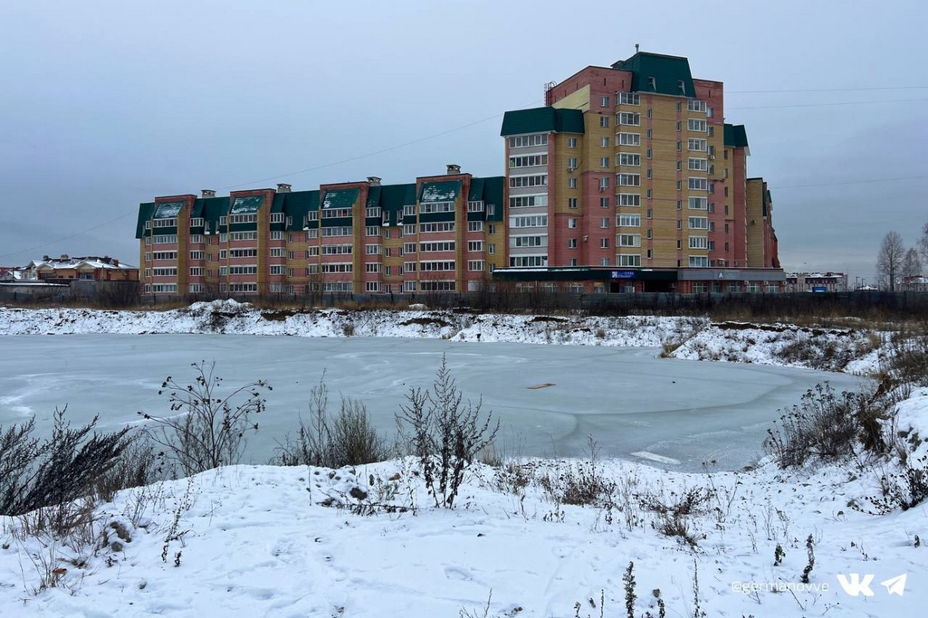 Фото на ленинградской череповец зашекснинский